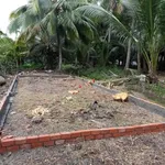 Bán đất thổ vườn 1434m2 SHR Nhơn Mỹ, Cần Thơ - Ảnh thu nhỏ 4