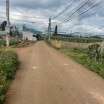 Bán 3 lô đất liền kề thổ cư tại Đức Trọng, Lâm Đồng, từ 830 triệu - Ảnh thu nhỏ 5
