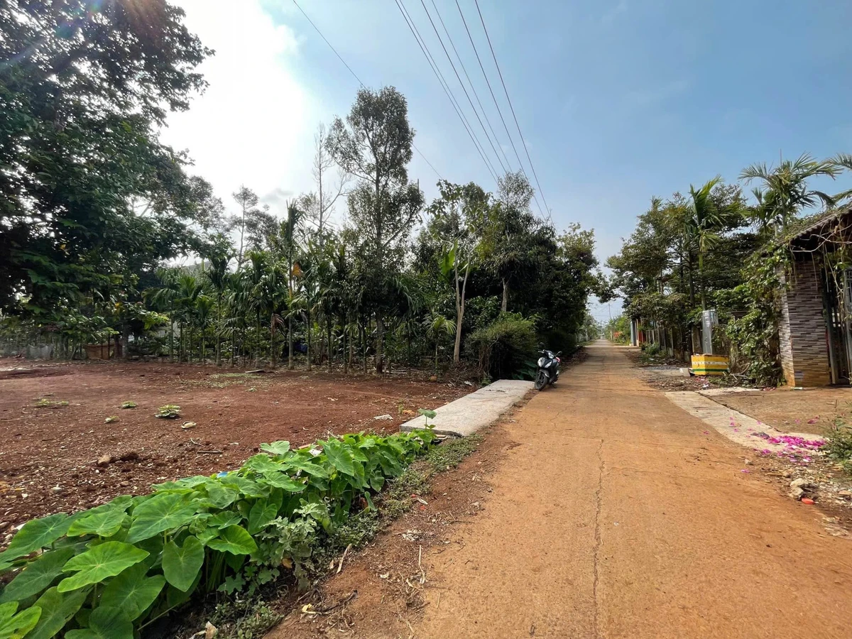 Bán đất hẻm cấp 1 Nguyễn Xuân Nguyên, Buôn Nao A, Phường Tân An, Buôn Ma Thuột, 2,4 tỷ - Ảnh thu nhỏ 3