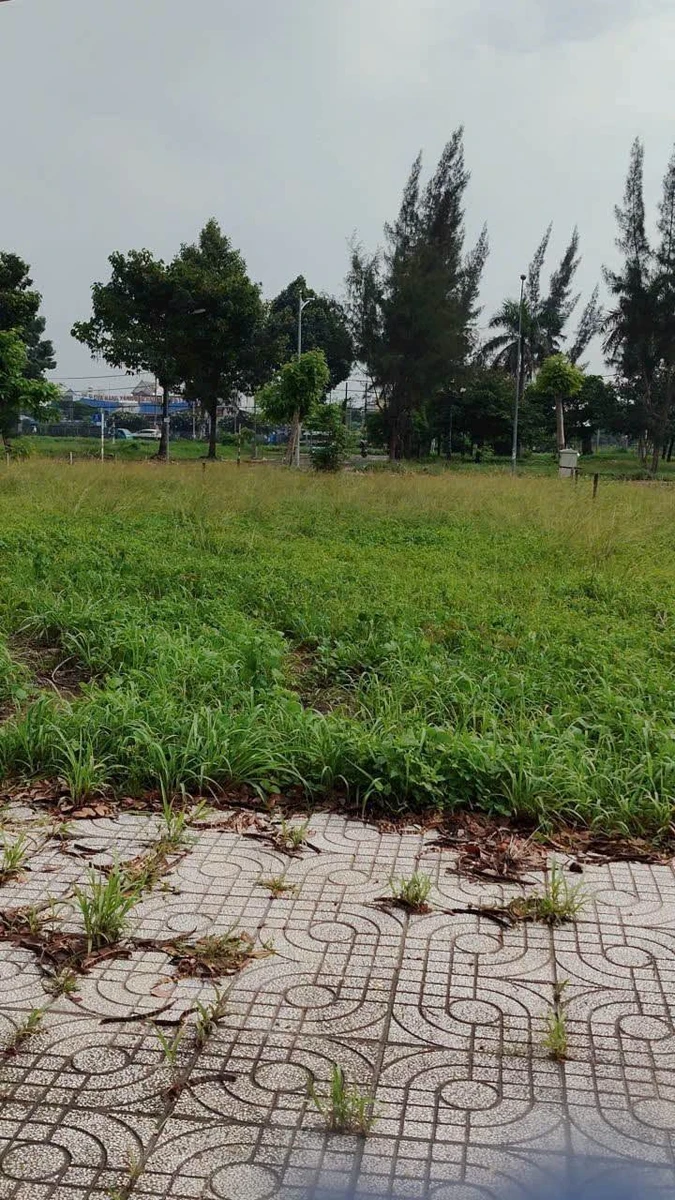 Bán đất Trảng Bom 93 m² mặt tiền 1 tỷ 3 - Ảnh thu nhỏ 2