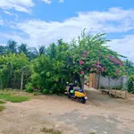 Bán nhà vườn Long Bình Phan Rang Khánh Hòa 4300m2 5 tỷ - Ảnh thu nhỏ 5