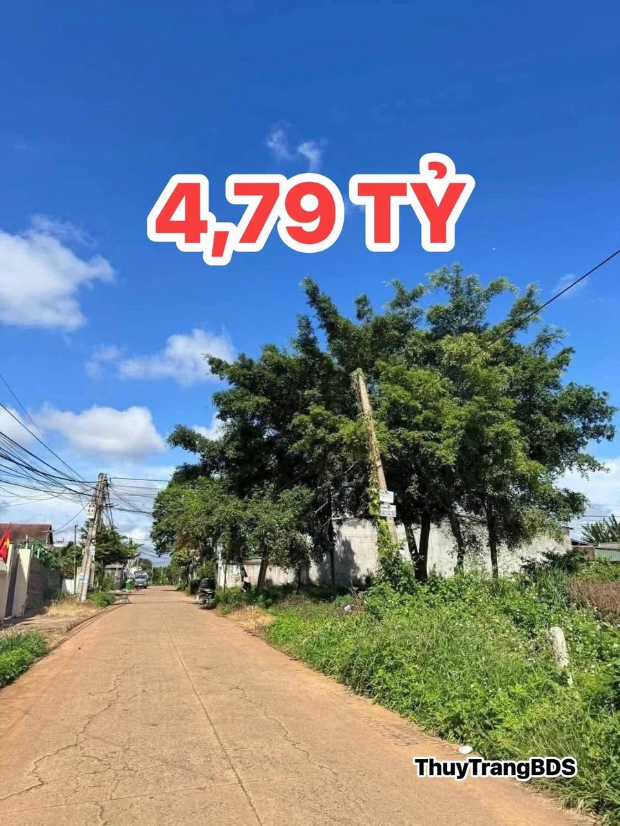 Bán nhà mặt đường Trịnh Tố Tâm 127m2, 3 phòng ngủ, phường Tân Lợi, Buôn Ma Thuột - Ảnh 1