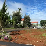 Bán lô đất 10x25m 250m² giá 650 triệu gần Huỳnh Thúc Kháng - Ảnh thu nhỏ 4