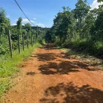 Bán đất 2,1 ha sổ đỏ Dakha, Lâm Đồng, giá 4,6 tỷ - Ảnh thu nhỏ 1