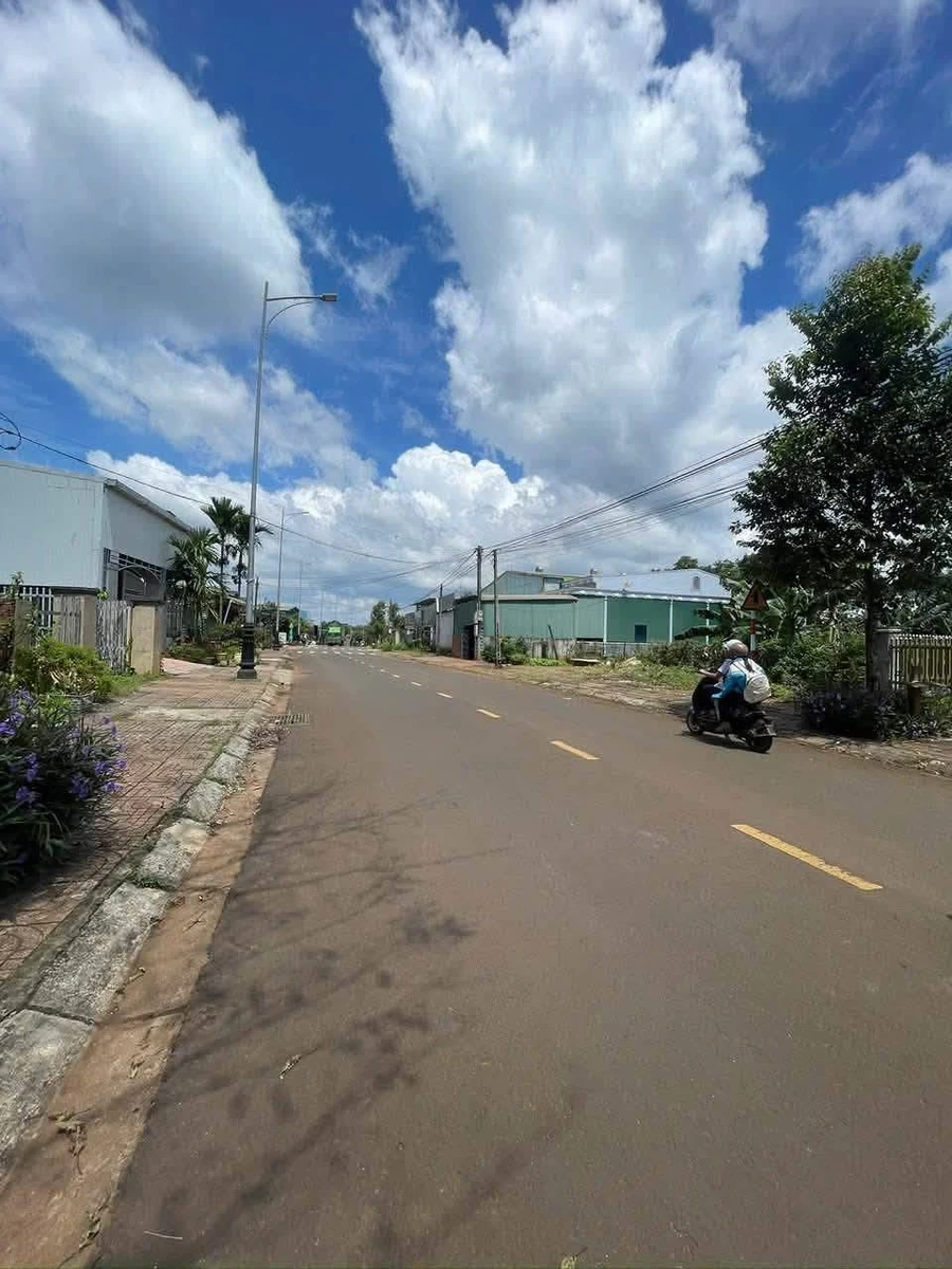 Đất mặt đường 5x50m 250m² tại Lâm Đồng, 1 tỷ - Ảnh 1