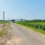 Bán đất nền 300m² mặt tiền đường DH11 Tây Ninh 319 triệu - Ảnh thu nhỏ 3