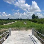 Bán 700m² đất nền Mỹ Thuận 499 triệu - Ảnh thu nhỏ 4