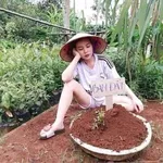 Bán lô đất 70m² Trung Nghĩa Hưng Yên hơn 1 tỷ - Ảnh thu nhỏ 1