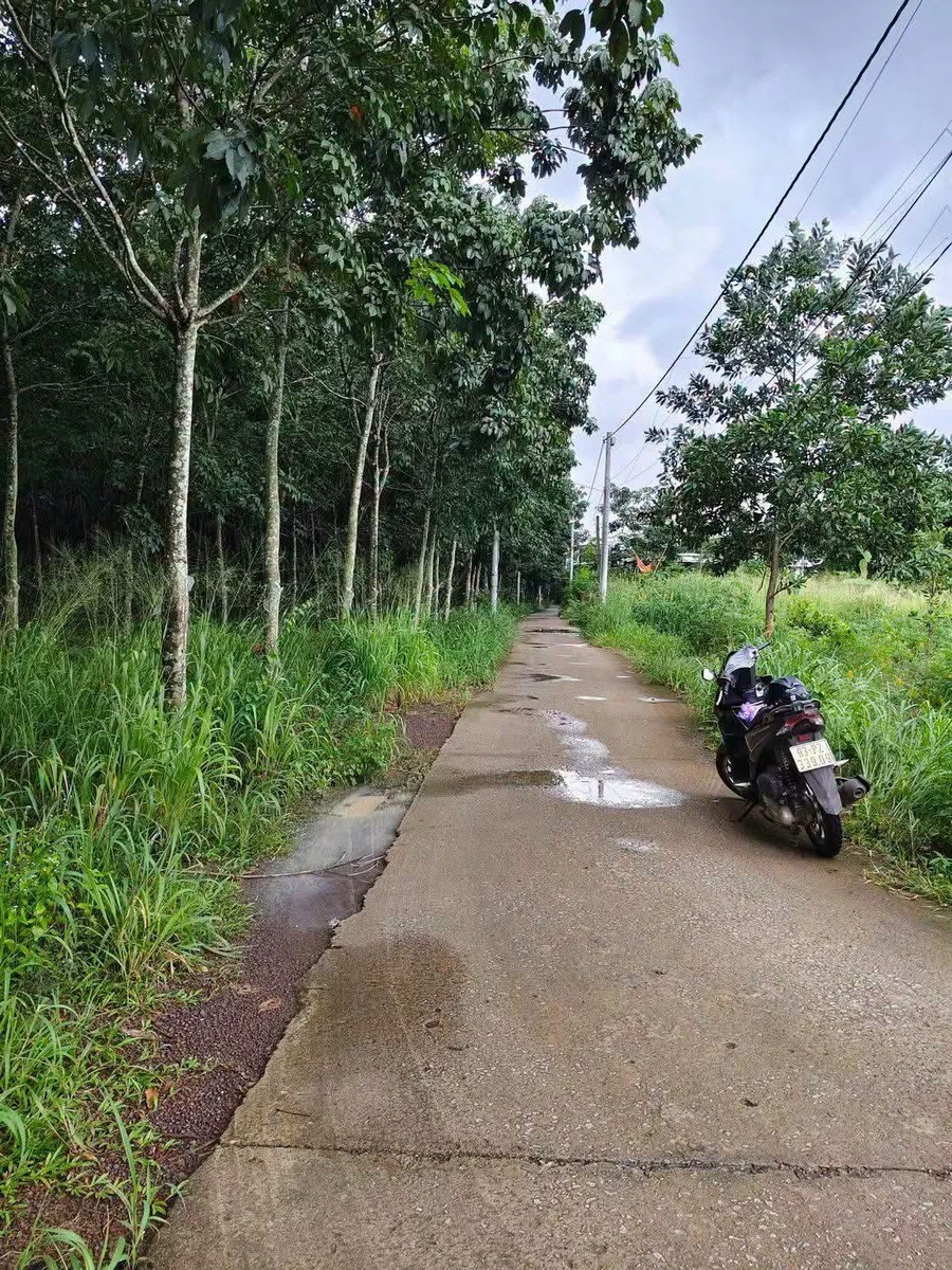 Bán đất gần chợ Tân Thành 50m², 1,1 tỷ - Ảnh 1