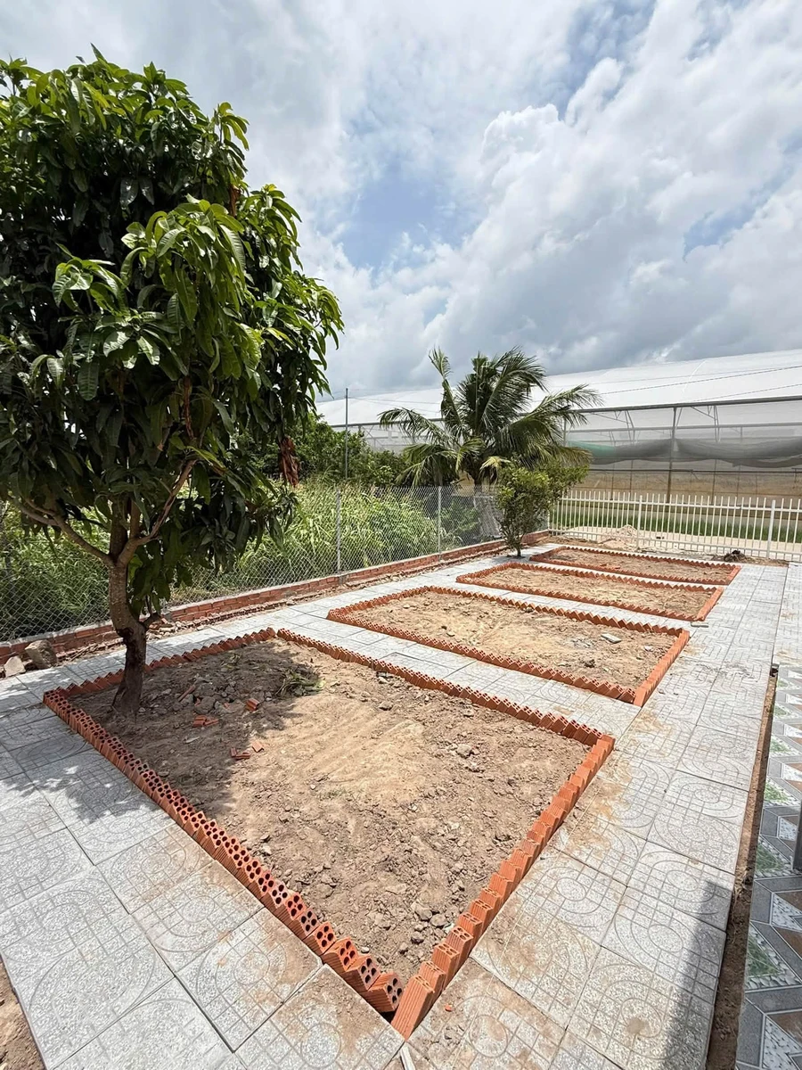 Bán nhà vườn 500m2 Long Mỹ, xã Phước Hải, TP.HCM giá 2,05 tỷ - Ảnh thu nhỏ 4
