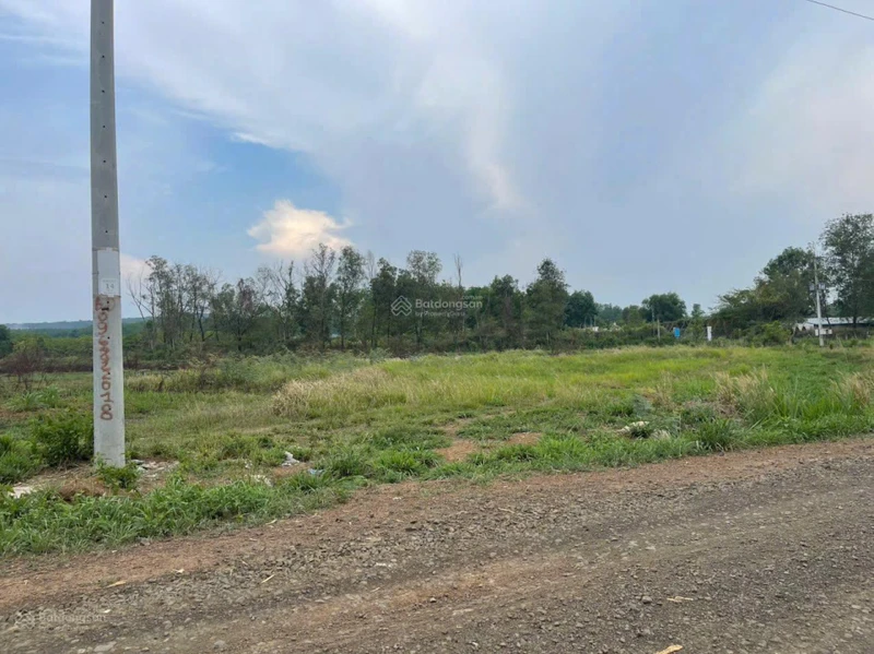 Đáo hạn ngân hàng cần bán gấp 1 sào (1029,3m2), dân cư đông, gần KCN Việt - Nhật, giá 450 triệu