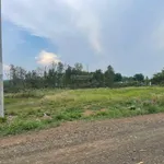 Đáo hạn ngân hàng cần bán gấp 1 sào (1029,3m2), dân cư đông, gần KCN Việt - Nhật, giá 450 triệu - Ảnh thu nhỏ 1