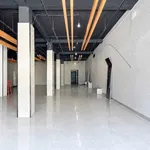Cho thuê mặt bằng 440m2 đường Phạm Văn Thuận, 100 triệu/tháng - Ảnh thu nhỏ 2