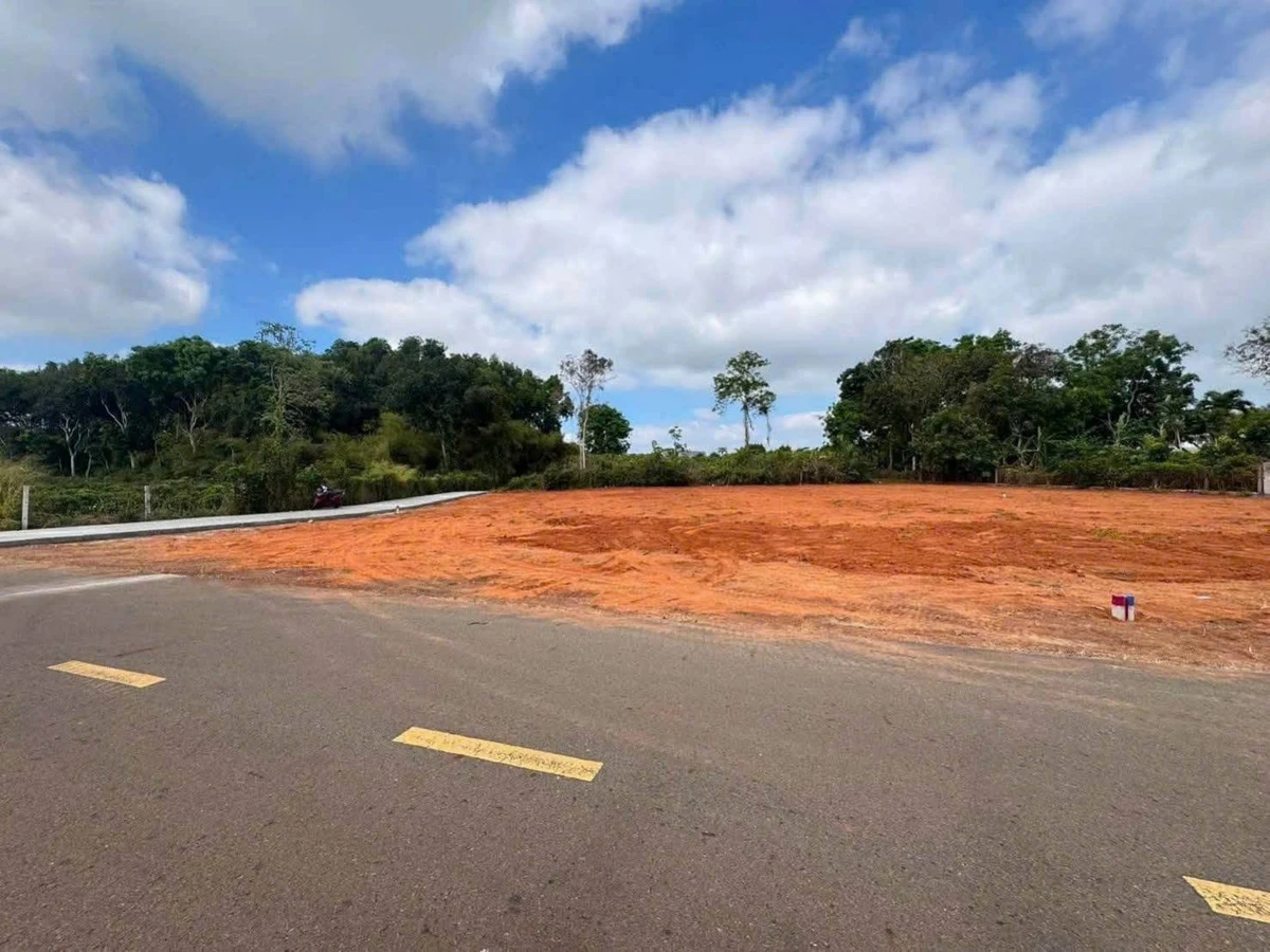 Bán đất 500m2 đường Nhựa 92 Long Phước, Tân Long - Ảnh thu nhỏ 2