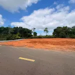 Bán đất 500m2 đường Nhựa 92 Long Phước, Tân Long - Ảnh thu nhỏ 2
