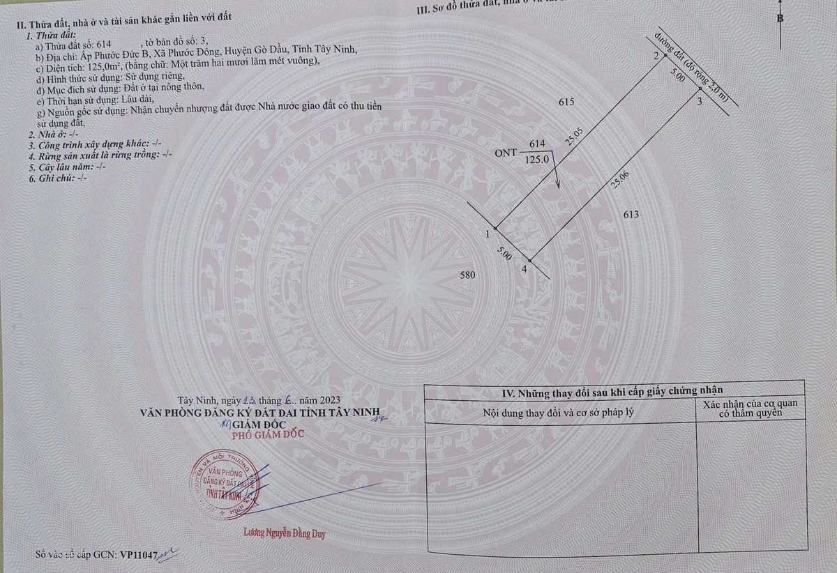 Bán đất thổ cư 125m² gần KCN Phước Đông, Tây Ninh 630 triệu - Ảnh 1