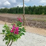 Bán nền đất Tân Phước Tiền Giang 550m² giá 338 triệu - Ảnh thu nhỏ 1