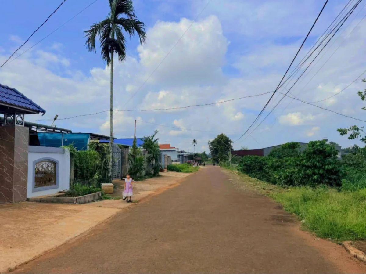 Bán đất 5x50m (250m²) 650 triệu Nhà Bè - Ảnh thu nhỏ 2