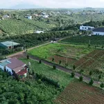 Bán đất thổ cư 153m² mặt tiền 12,5m Lộc Quảng giá 470 triệu - Ảnh thu nhỏ 2