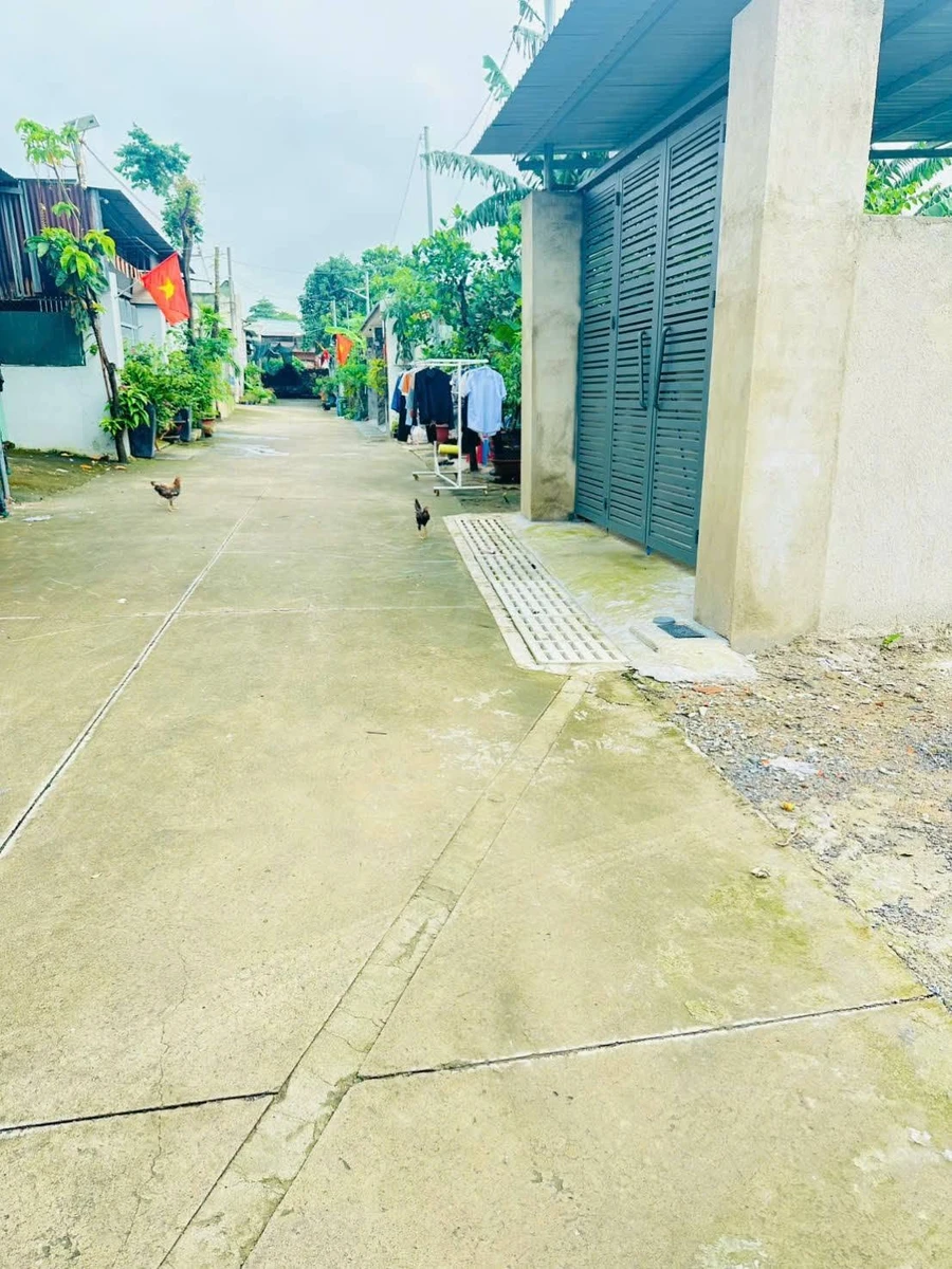 Bán đất ở 5x26m (130m2) giá 950 triệu tại Khu phố 4, Phường Trảng Dài, Biên Hòa, Đồng Nai - Ảnh thu nhỏ 4