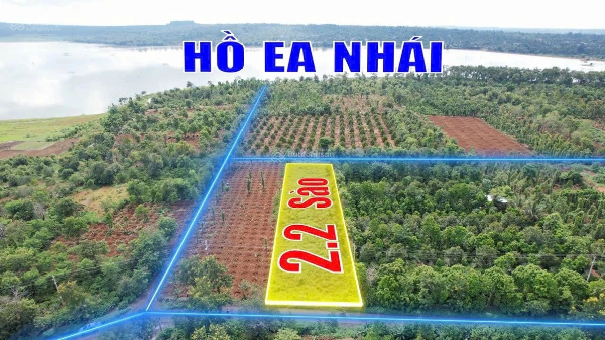 2,1 sào mặt tiền đường nhựa Vành Đai km18 nối tuyến QL14-QL26 2,73 tỷ - Ảnh thu nhỏ 2