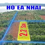 2,1 sào mặt tiền đường nhựa Vành Đai km18 nối tuyến QL14-QL26 2,73 tỷ - Ảnh thu nhỏ 2