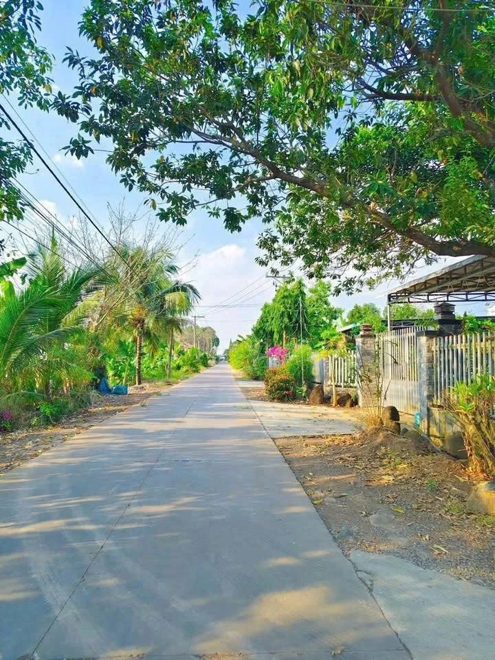 Bán đất 171m² Xuân Phú, Đồng Nai, 549 triệu - Ảnh thu nhỏ 4