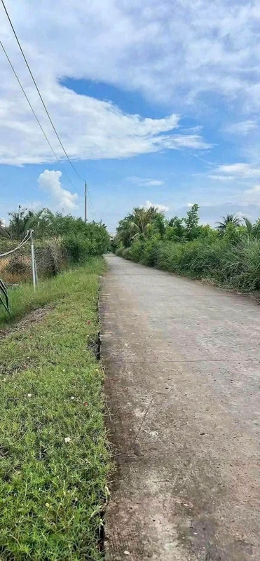 Bán đất lúa 1788m2 Vĩnh Công Tây Ninh