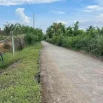 Bán đất lúa 1788m2 Vĩnh Công Tây Ninh - Ảnh thu nhỏ 1