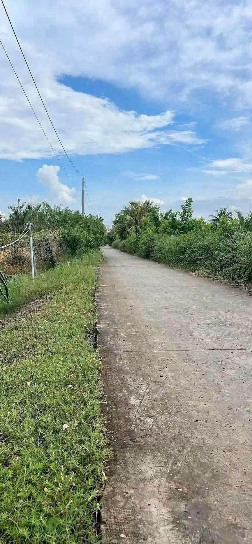 Bán đất lúa 1788m2 Vĩnh Công Tây Ninh - Ảnh 1