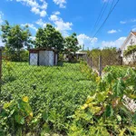 Bán đất vườn 489m² Mỹ Lộc Phước Hậu Tây Ninh 1tỷ 400 triệu - Ảnh thu nhỏ 2