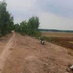 Bán 23 công đất lúa Thạnh Phước Long An - Ảnh thu nhỏ 1