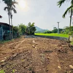 Bán đất 254m² Kim Bôi, Hòa Bình hơn 500 triệu - Ảnh thu nhỏ 5