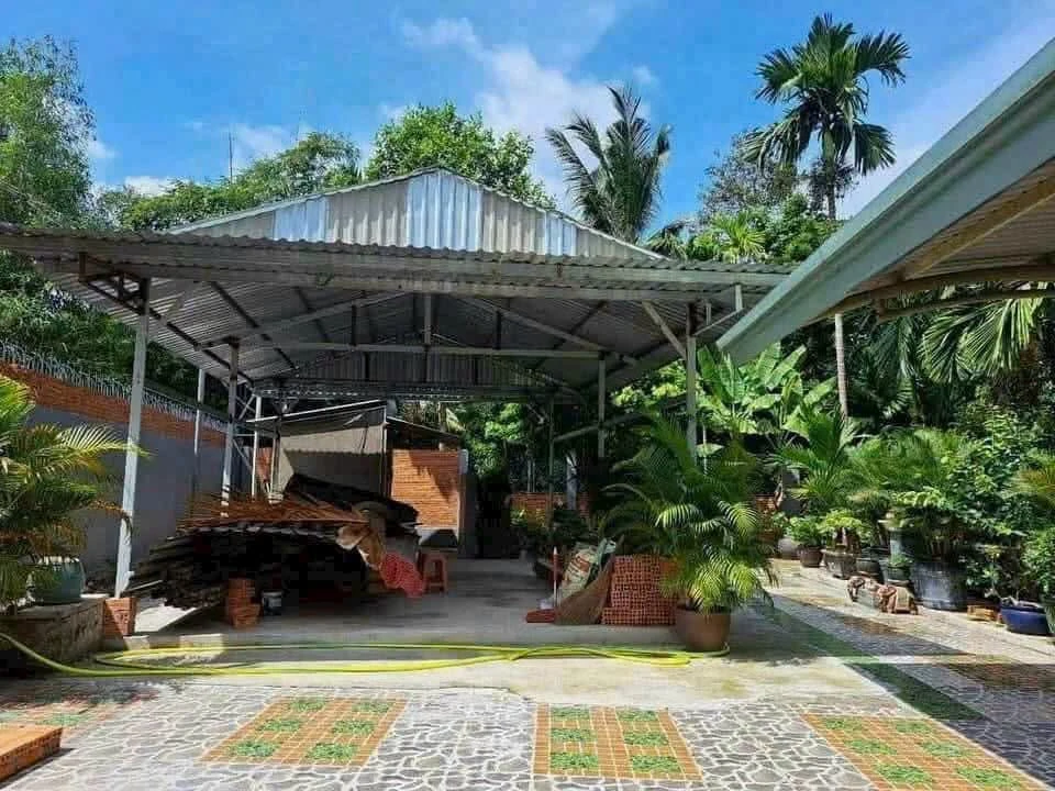 Bán vườn nghỉ dưỡng 903m2 có ao hồ, cây ăn trái tại Phường Tân An, Thủ Dầu Một, Bình Dương - Ảnh thu nhỏ 2