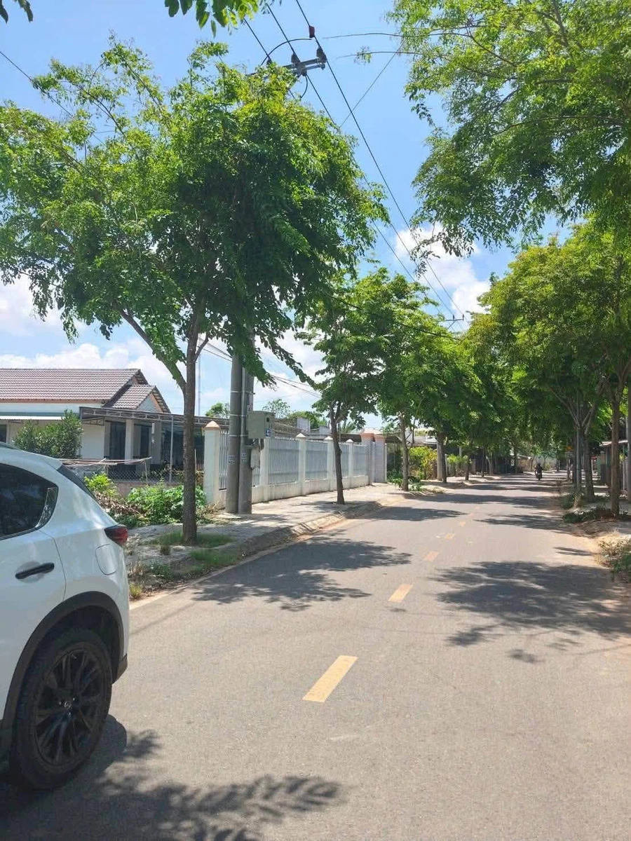Bán đất nền 100m2 Phước Hữu Long Phước, Nhà Bè 1.25 tỷ - Ảnh thu nhỏ 4