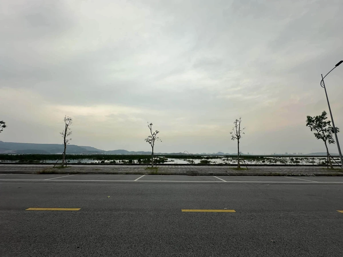 Bán đất Hạ Long 300m², view biển, mặt tiền 15m, 7.2 tỷ - Ảnh thu nhỏ 3