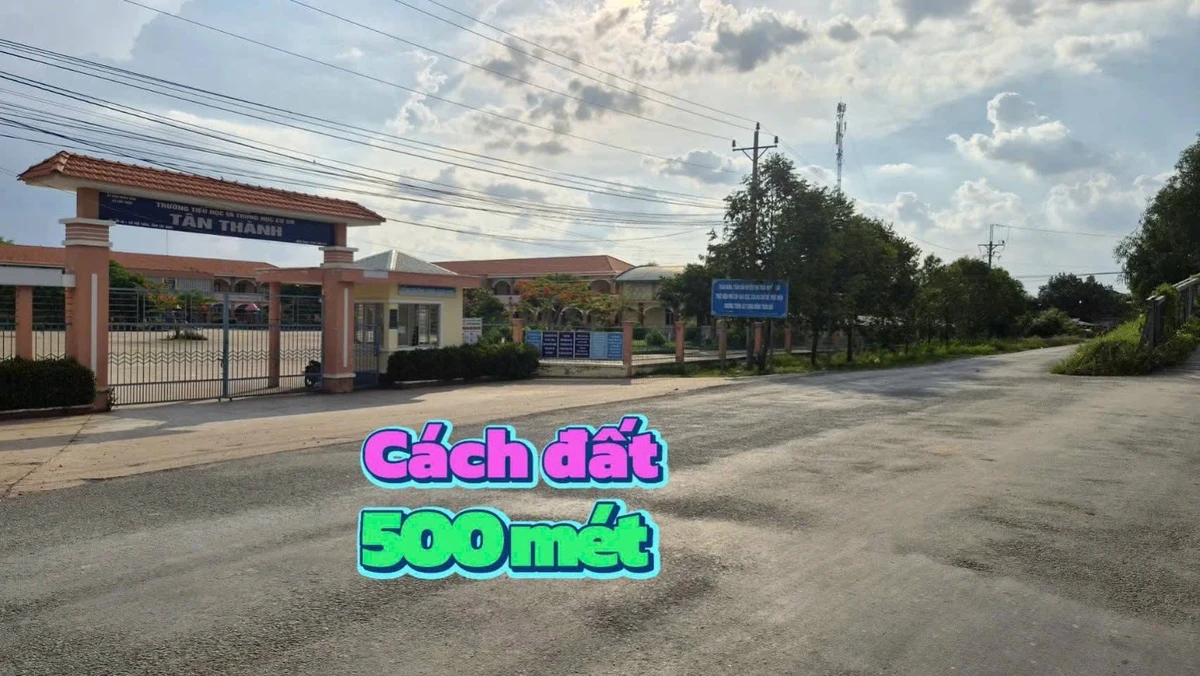 Bán đất thổ 270m² Tân Thành Thủ Thừa Long An 950 triệu - Ảnh thu nhỏ 3