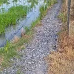 Bán đất lúa 2000 m² tại Tân Trụ, Long An - Ảnh thu nhỏ 3