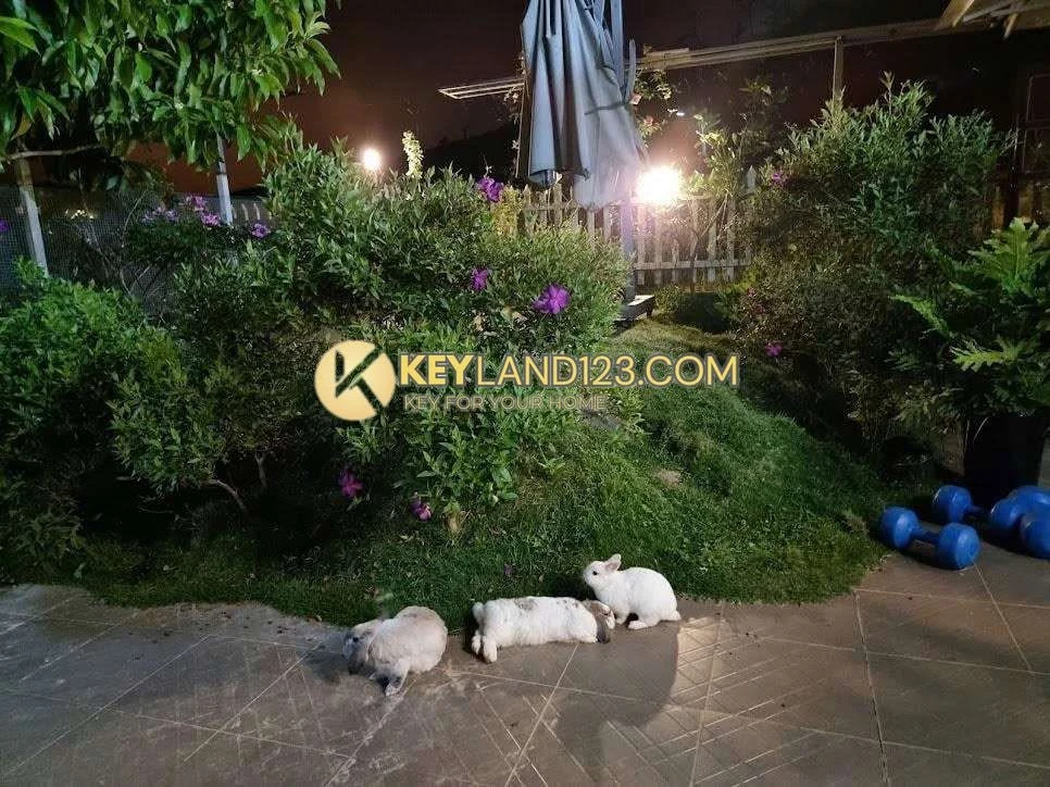 Bán biệt thự mặt tiền 554m2 đường Măng Lin, Đà Lạt - Ảnh thu nhỏ 2