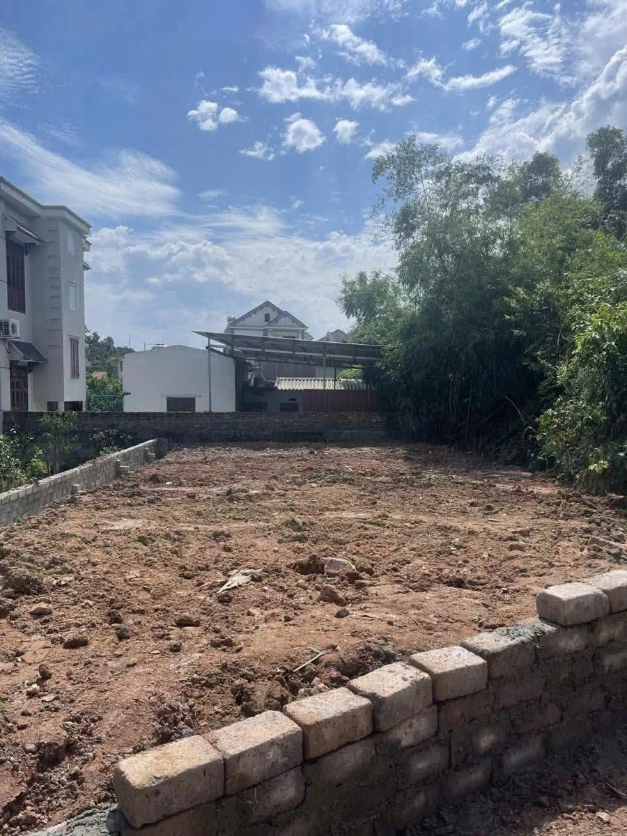 Bán đất nền 124m2 gần chợ Chí Linh, Hải Dương, giá 8xx triệu - Ảnh thu nhỏ 3