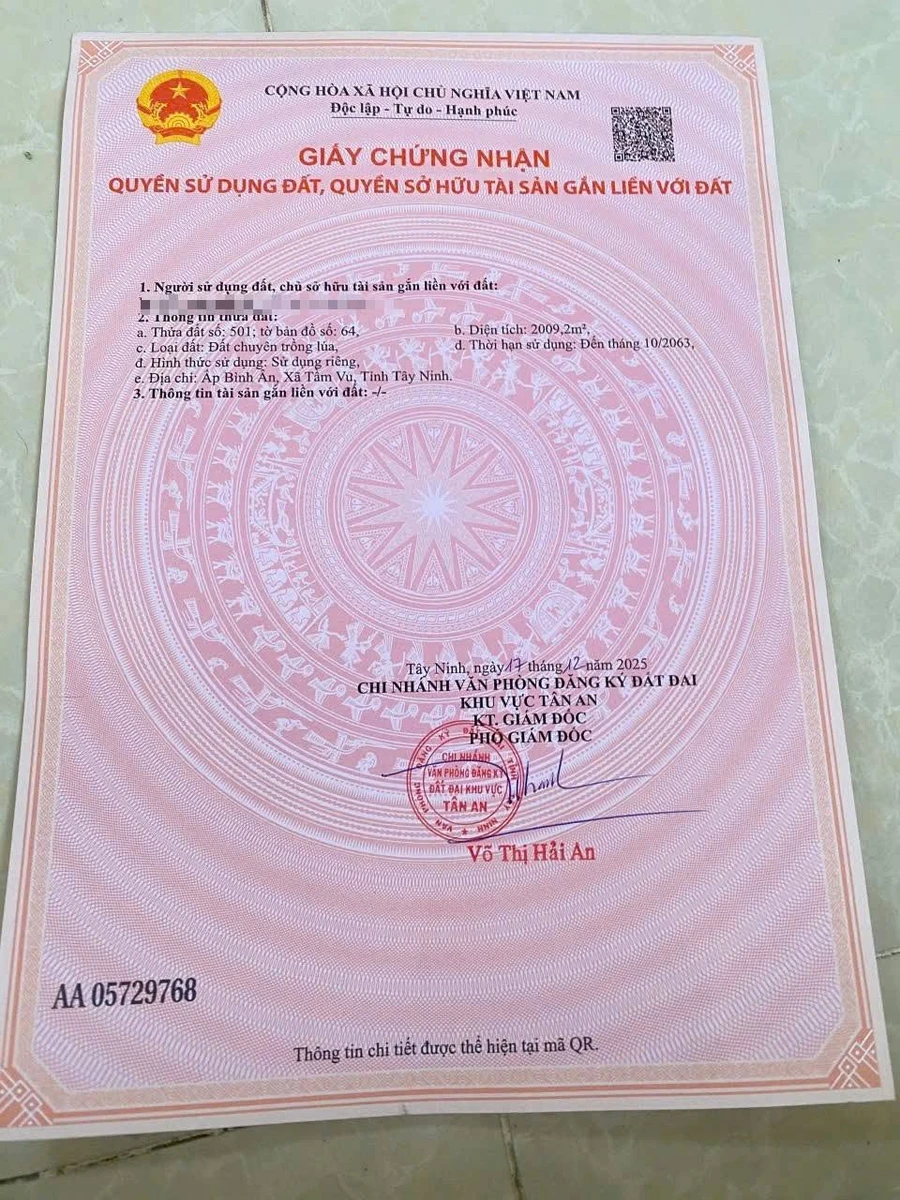 Bán đất lúa 2 công Ấp Bình Ân, Long An - Ảnh thu nhỏ 4
