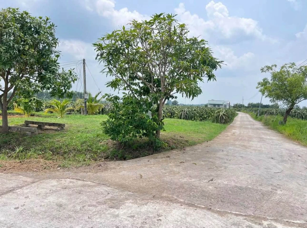Bán lô đất vườn 1,8 sào full thổ cư Cần Giờ 599 triệu - Ảnh thu nhỏ 2