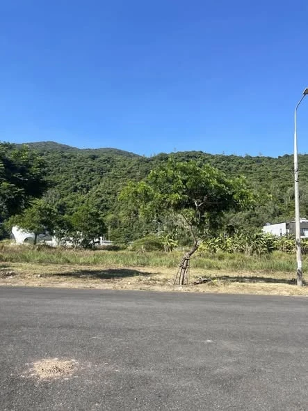 Bán đất biển Sơn Trà 100m² 8,1 tỷ Đà Nẵng - Ảnh thu nhỏ 4