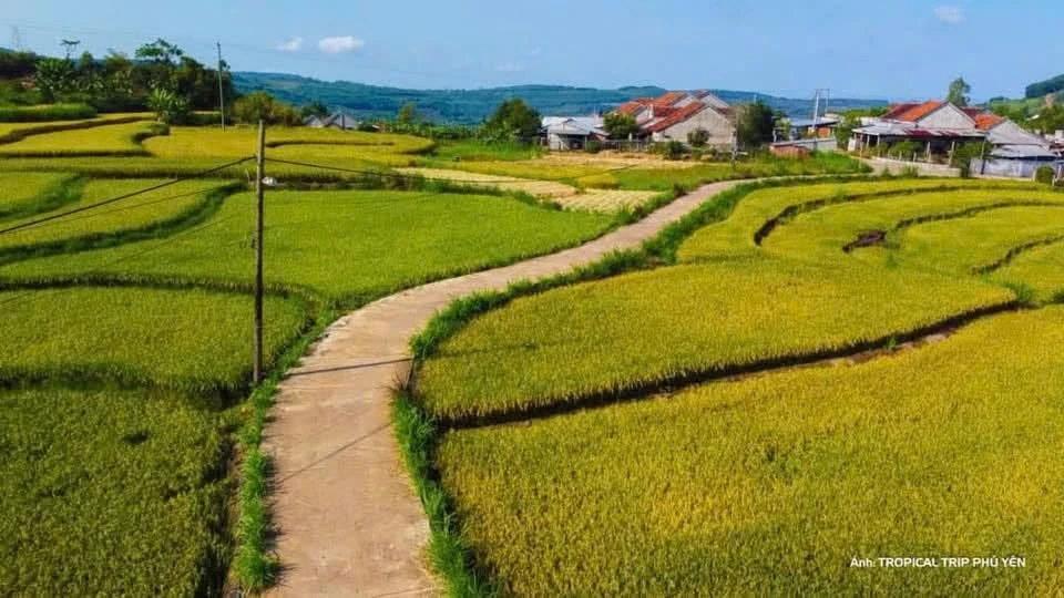 Bán đất 1200m² Vân Hoà, Phú Yên, giá 3 tỷ - Ảnh thu nhỏ 2