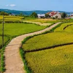 Bán đất 1200m² Vân Hoà, Phú Yên, giá 3 tỷ - Ảnh thu nhỏ 2
