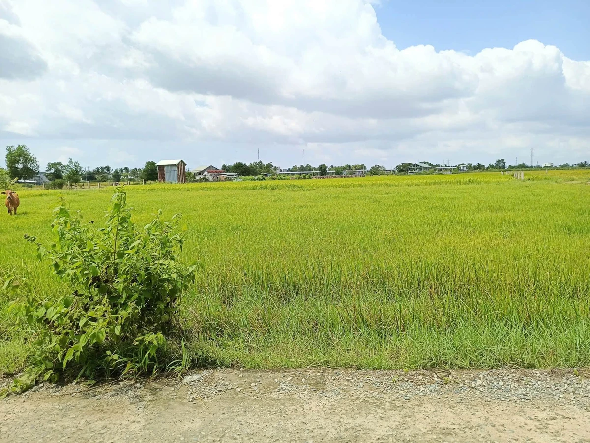 Bán lô đất thổ cư mặt tiền 100m2 Hàm Liêm, Lâm Đồng - Ảnh thu nhỏ 2