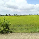 Bán lô đất thổ cư mặt tiền 100m2 Hàm Liêm, Lâm Đồng - Ảnh thu nhỏ 2