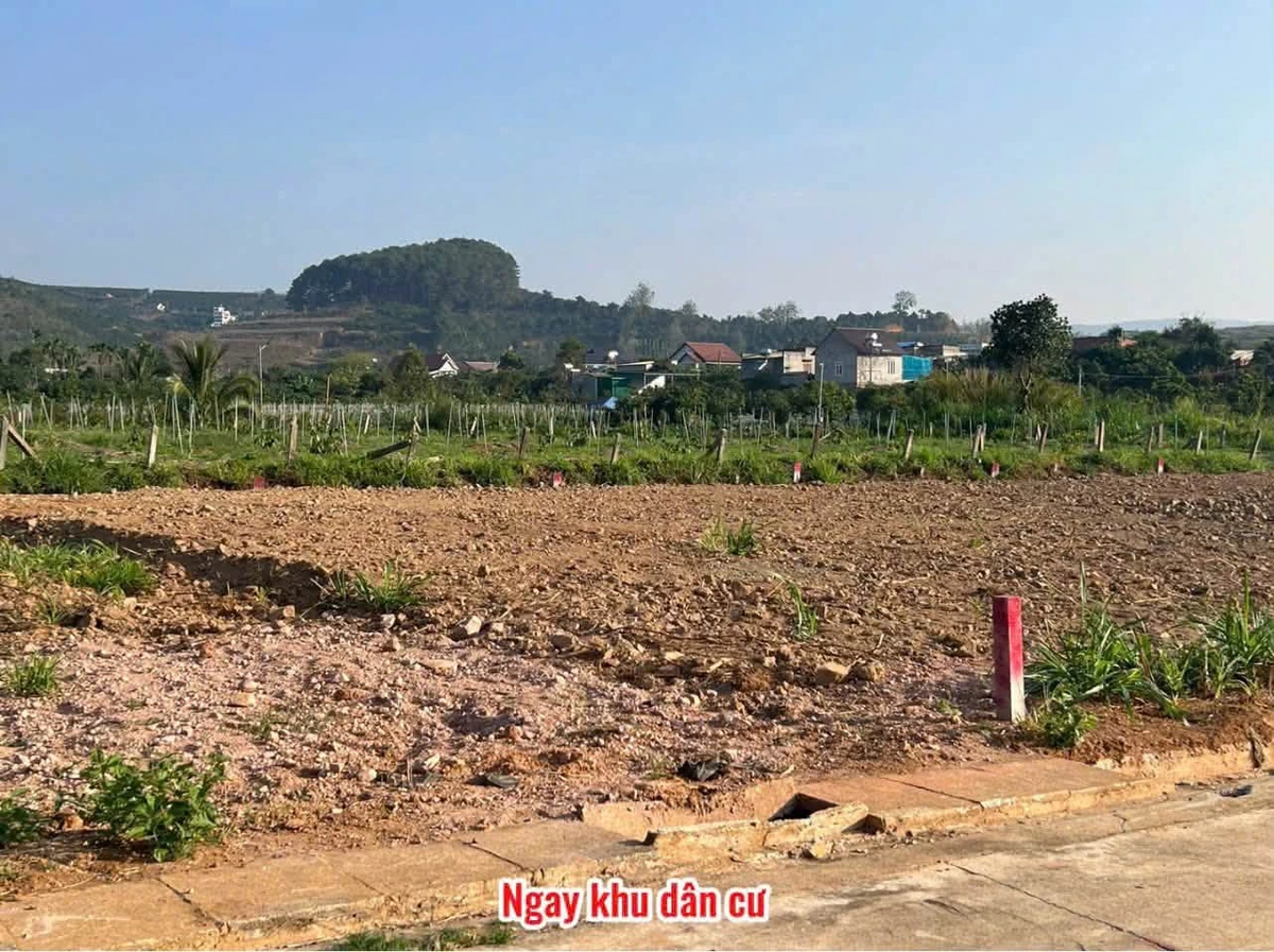 Bán đất Mê Linh giáp Đà Lạt 175m² 899 triệu - Ảnh thu nhỏ 4