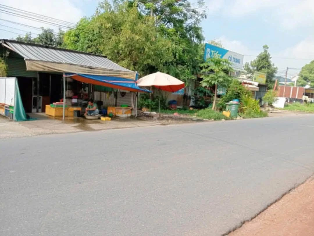 Bán lô đất mặt tiền DH608, 910m² tại Phú An, Bình Tân - Ảnh thu nhỏ 3