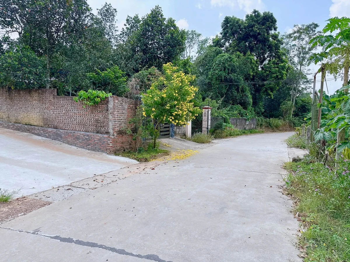 Bán đất 100m² gần full thổ cư Tiên Kiên, Phú Thọ 390 triệu - Ảnh thu nhỏ 3